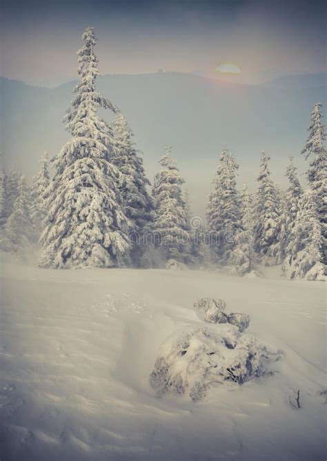 Beautiful Winter Sunrise In Foggy Mountains Stock Image Image Of