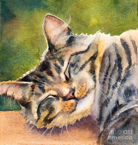 Cat Nap Painting By Bonnie Rinier Fine Art America