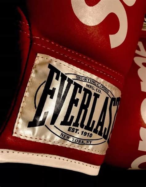 Supreme Supreme Everlast Boxing Gloves Red Aw08 Grailed