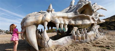 Game Of Thrones Massive Dragon Skull Found On Dorset