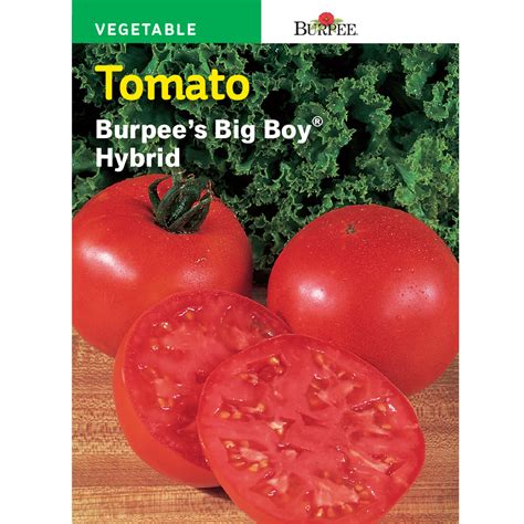 Burpee Tomato Big Mamma Hybrid
