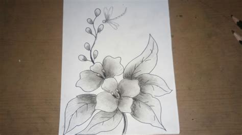 Detail Gambar Sketsa Bunga Anggrek Koleksi Nomer 6