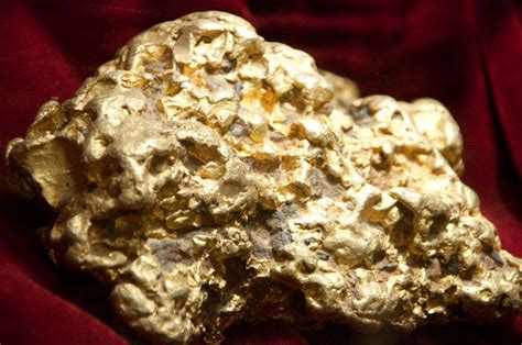 The Biggest Gold Nugget Ever Found Picture Ebaums World