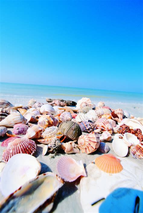 8 Experiences To Have On The Beaches Of Fort Myers And Sanibel