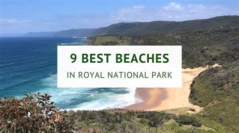 9 Beautiful Beaches In Royal National Park Sydney Uncovered