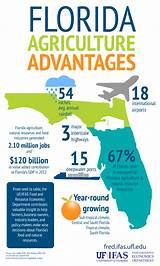 Florida Department Of Insurance Photos