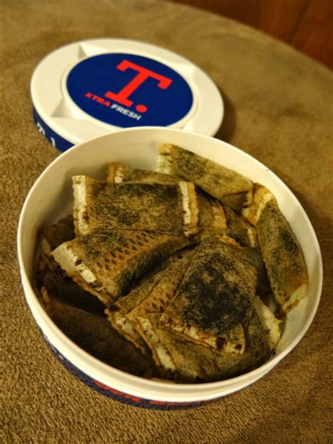 Camel spice snus tastes a bit like cinnamon. Telemark: XTra Fresh and XTra Tobak Reviews (Discontinued ...