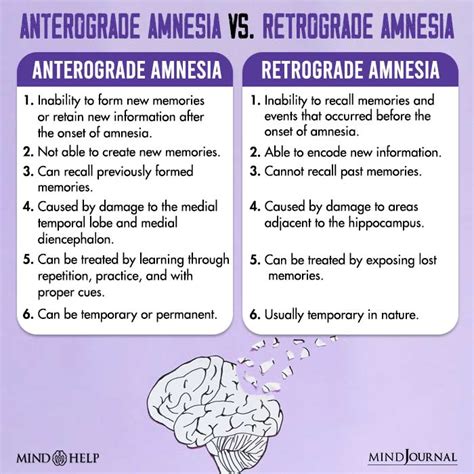 Understanding Amnesia Causes Types And Coping Strategies