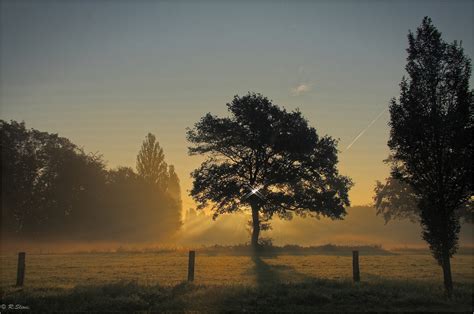 Our wallpapers come in all sizes, shapes, and colors, and they're all free to download. 48+ High Quality Desktop Wallpaper 1280x1024 on ...