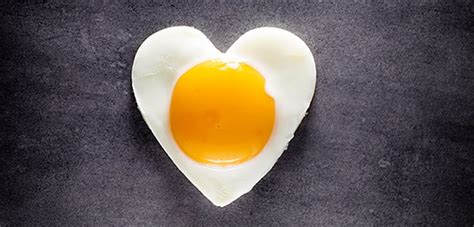 vom guten ei und dem schlechten cholesterin