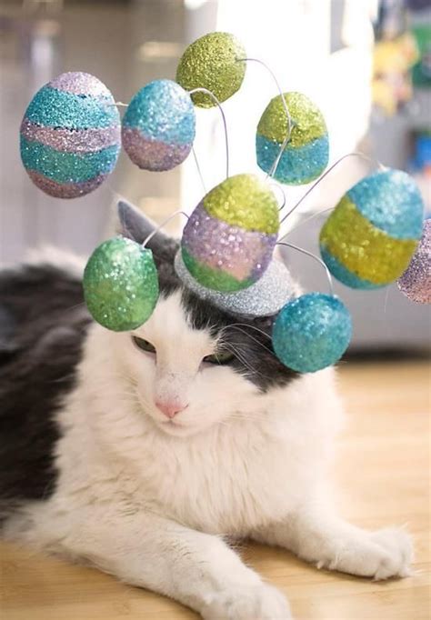 Cute Cats All Dressed Up For Easter 15 Photos I Can Has Cheezburger