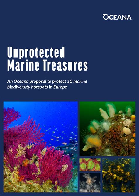 Unprotected Marine Treasures An Oceana Proposal To Protect 15 Marine