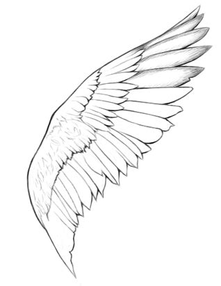Learn how to draw wings quickly & easily! How to draw angel wings