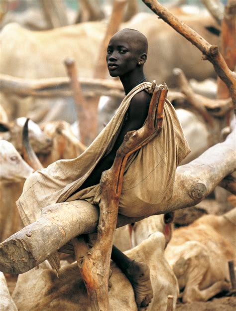 Dinka Woman At Cattle Camp South Sudan River Stories