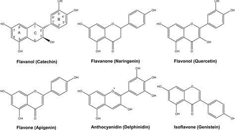 Ijms Free Full Text Flavanols And Anthocyanins In Cardiovascular