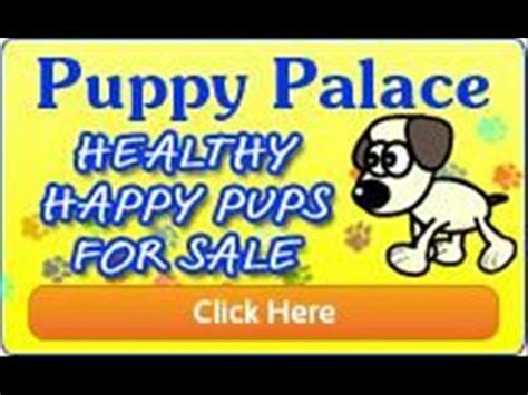 Puppy Palace Puppypalace Flipsnack