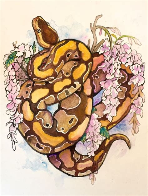 Ball Python Painting Hot Sex Picture