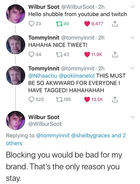 Wilbur Soot Shubble Tommyinnit Nihachu Pokimane Youtuber Tweets
