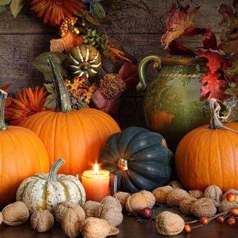 Fall Decorating With Gourds Squash And Pumpkins Montana Happy