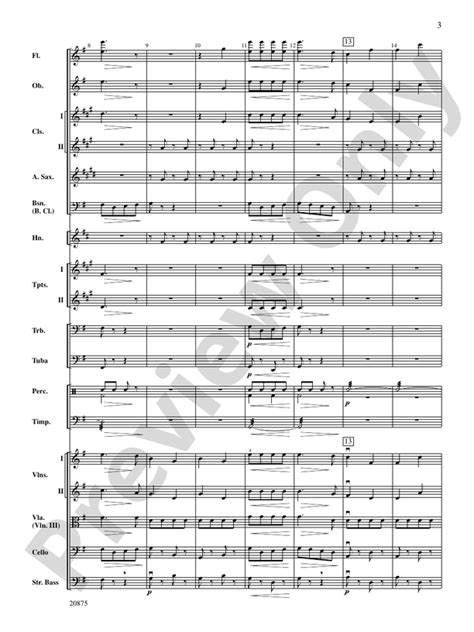Thunder And Lightning Polka Full Orchestra Conductor Score And Parts