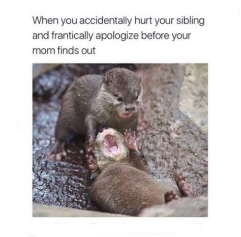 Growing Up With Siblings 20 Hilarious Memes That Sum Up The Love Hate Relationship Trending