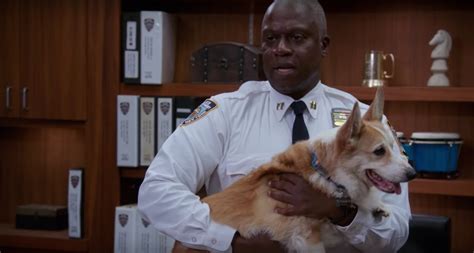 Cheddar From Brooklyn Nine Nine Has Died But Hell Never Be Forgotten