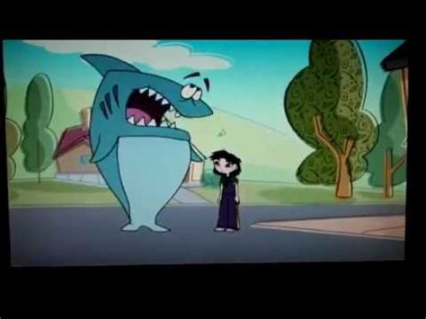 Kenny has all the characteristics and instincts of any other tiger shark, but he must adapt himself to the placid ways of suburban family life. Kenny the Shark: Regime Change - YouTube