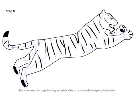 Step By Step How To Draw A Tiger For Kids
