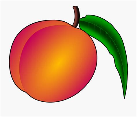 Peaches Clipart Peach Fruit Peaches Peach Fruit Transparent Free For
