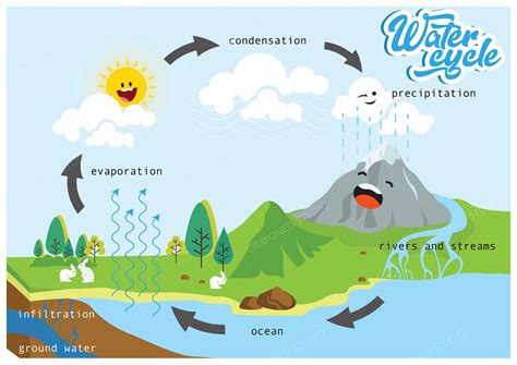Water Cycle Poster Science Poster Educational Poster Wall Etsy Uk