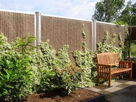Greenscreen Garden Fencing Livingreen Design