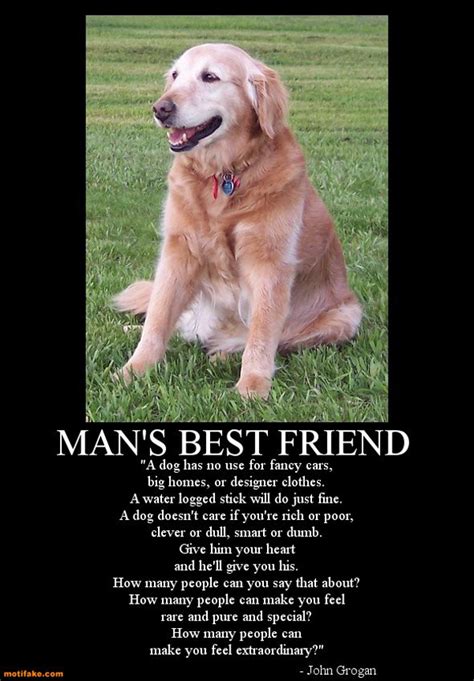 Loyalty in love relationships quotes. Dog Love And Loyalty Quotes. QuotesGram
