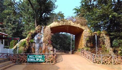 Wildlife Sanctuaries And National Parks You Can Visit In Odisha