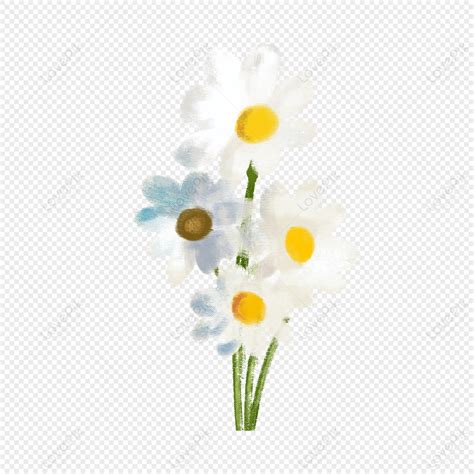 Chamomile Camomile Daisy Images Hd Pictures For Free Vectors Psd