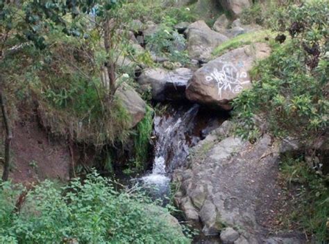 Ambientalistas Internacionales Visitaron La Quebrada Las Delicias De C
