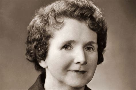 Get To Know These 91 Famous Female Scientists