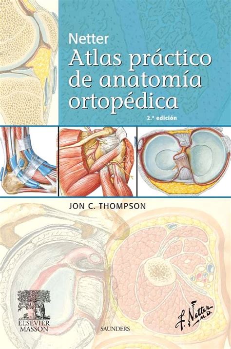 Netter Atlas Práctico De Anatomía Ortopédica 9788445821756 Us