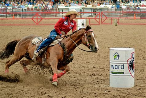 Examples of rodeo in a sentence. The Rodeo - Cheyenne Frontier Days
