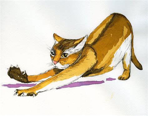 Cchersin On Deviantart Cats Cat Art Art