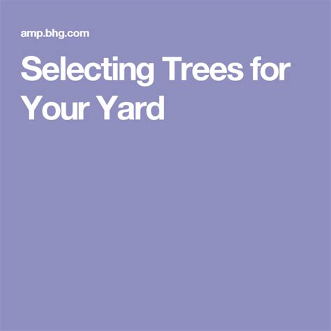 How To Select The Best Trees For Your Yard Yard Tree Garden Trees