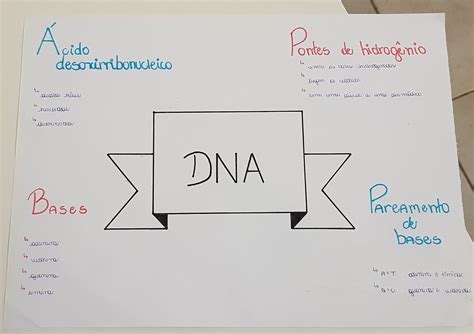 Mapa Mental Sobre Dna E Rna Materilea