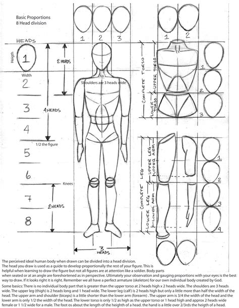 Human Anatomy Drawing Proportions ~ Proportions Drawing Female Figure