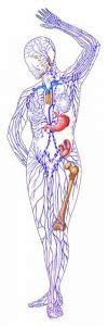 You can go to a massage therapist for this type of massage, but with proper technique and a list of areas to massage, you can perform a lymphatic. Manual Lymphatic Drainage - Lymphatic Massage Therapy
