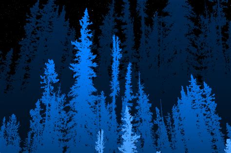 2560x1700 Forest Long Blue Trees 4k Chromebook Pixel Hd 4k Wallpapers