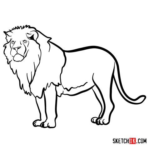 How To Draw A Lion Standing Wild Animals Sketchok Easy Drawing Guides