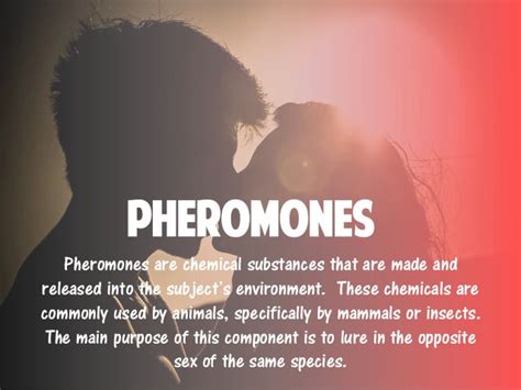 The Power Of Sex Pheromones Pheromones And The Science Of Attraction