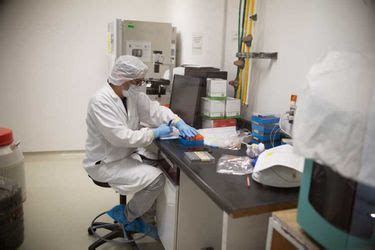 IPN Ofrece Pruebas En CdMx Para Detectar Coronavirus Grupo Milenio