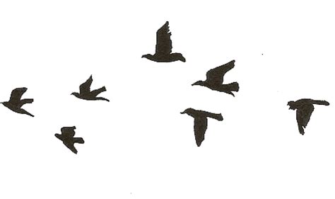 Download Free Png Download Flying Birds Gif Transparent Png - Bird Flying Gif Png Clipart Png ...