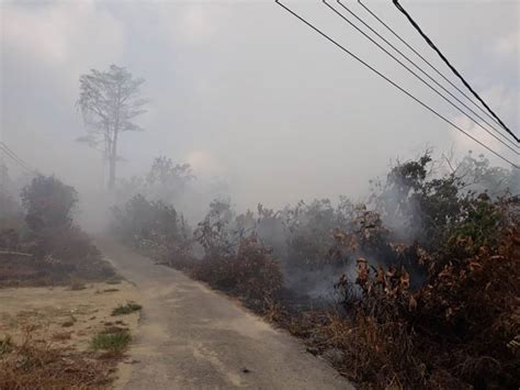 Sebagai contohnya di tanah tinggi lojing, kelantan dan tanah tinggi cameron di pahang. NREB tangkap individu lakukan pembakaran terbuka | Utusan ...