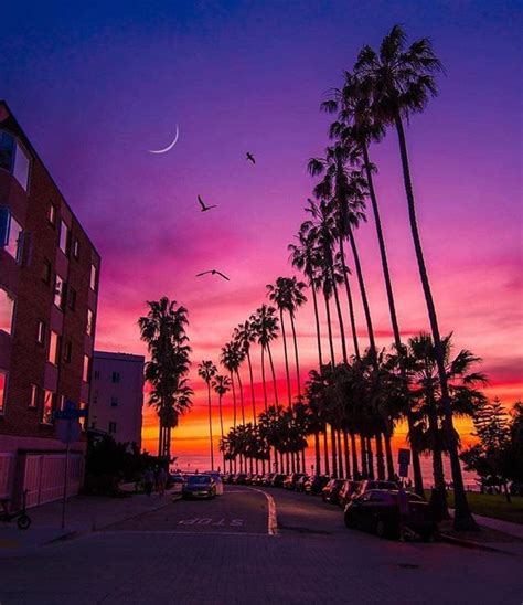 Mesmerising San Diego Sunset 😍 📍san Diego California Which
